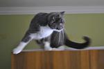     
: z_e3d66fbb.jpg
: 27
:	212.6 
ID:	3528791