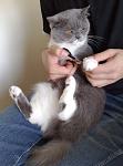     
: z_fb7180d6.jpg
: 44
:	193.6 
ID:	3528792