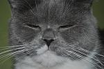     
: z_2248b215.jpg
: 25
:	142.6 
ID:	3528793