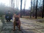     
: 181220118244.jpg
: 30
:	227.3 
ID:	3532319