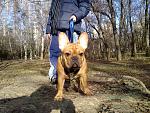     
: 181220118234.jpg
: 30
:	284.2 
ID:	3532324