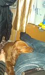     
: IMAG1410.jpg
: 19
:	72.7 
ID:	3532968
