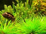     
: IMG_0103.jpg
: 60
:	146.4 
ID:	3534722