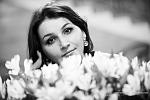     
: 5525_bw.jpg
: 58
:	252.1 
ID:	3535545