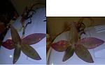     
: DSCN8592.JPG
: 21
:	63.7 
ID:	3536561