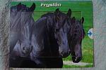     
: DSC05318.jpg
: 13
:	124.6 
ID:	3542226
