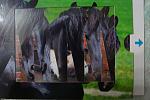     
: DSC05319.jpg
: 15
:	102.5 
ID:	3542233