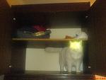     
: DSC00018.jpg
: 45
:	160.1 
ID:	3543340