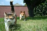     
: 002268yz.jpg
: 13
:	69.7 
ID:	3544983
