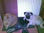     
: 29032010(001).jpg
: 38
:	209.3 
ID:	3546326