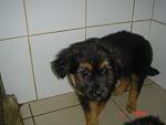     
: DSC03659.jpg
: 17
:	79.2 
ID:	3548229