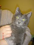     
: DSC03650.jpg
: 33
:	84.3 
ID:	3548323