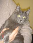     
: DSC03646.jpg
: 38
:	86.7 
ID:	3548325