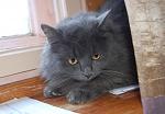     
: DSC_7050.jpg
: 49
:	95.0 
ID:	3548613