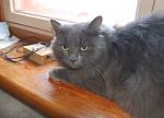     
: DSC_7047.jpg
: 56
:	97.3 
ID:	3548614