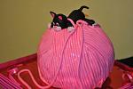     
: DSC_7270.JPG
: 116
:	70.5 
ID:	3551448