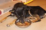     
: DSC01904.jpg
: 47
:	113.7 
ID:	3553503