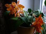     
: P1110257.jpg
: 45
:	75.9 
ID:	3556420