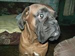     
: PICT2573.JPG
: 33
:	166.7 
ID:	3556585
