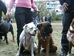     
: PICT0723.JPG
: 31
:	213.6 
ID:	3556587