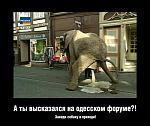     
: forum_dem_01_s.jpg
: 44
:	105.1 
ID:	3557038
