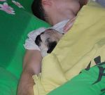     
: DSC_0022.JPG
: 59
:	85.7 
ID:	3560296