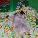     
: DSC_0002.JPG
: 53
:	123.5 
ID:	3560298