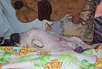     
: DSC_0130.JPG
: 53
:	150.4 
ID:	3560300