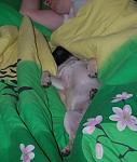     
: DSC_0028.JPG
: 58
:	96.4 
ID:	3560301