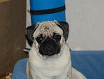     
: DSC_0158.JPG
: 36
:	289.9 
ID:	3560339