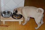     
: DSC_0300.JPG
: 41
:	113.7 
ID:	3561827