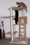     
: IMG_0066.jpg
: 80
:	71.9 
ID:	3563111