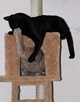     
: IMG_0056.jpg
: 64
:	59.8 
ID:	3563113