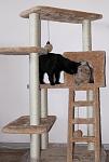     
: IMG_0043.jpg
: 76
:	70.2 
ID:	3563114