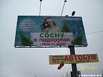     
: x_19723355.jpg
: 45
:	65.5 
ID:	3570624