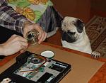     
: DSC_0316.JPG
: 50
:	122.7 
ID:	3571881