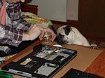     
: DSC_0315.JPG
: 57
:	117.0 
ID:	3571882
