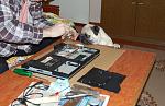    
: DSC_0314.JPG
: 53
:	132.3 
ID:	3571883
