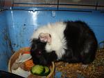     
: DSC02054.JPG
: 43
:	137.3 
ID:	3573457