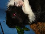     
: DSC02065.JPG
: 37
:	155.4 
ID:	3573458
