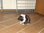     
: DSC02069.JPG
: 39
:	137.4 
ID:	3573463