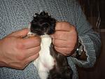     
: DSC02071.JPG
: 42
:	147.2 
ID:	3573482