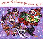     
: coversanta.jpg
: 14
:	136.5 
ID:	3574137