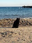     
: IMG_0336.jpg
: 51
:	193.3 
ID:	3575640