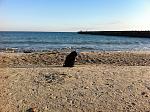     
: IMG_0333.jpg
: 37
:	276.6 
ID:	3575641