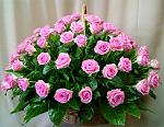     
: view_102.jpg
: 3
:	52.2 
ID:	3577282