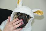     
: DSC_1080.jpg
: 32
:	72.4 
ID:	3578490