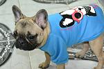     
: DSC_1139.jpg
: 24
:	115.5 
ID:	3578493