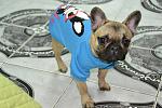    
: DSC_1121.jpg
: 29
:	109.2 
ID:	3578494