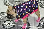     
: DSC_1046.jpg
: 33
:	144.2 
ID:	3578497